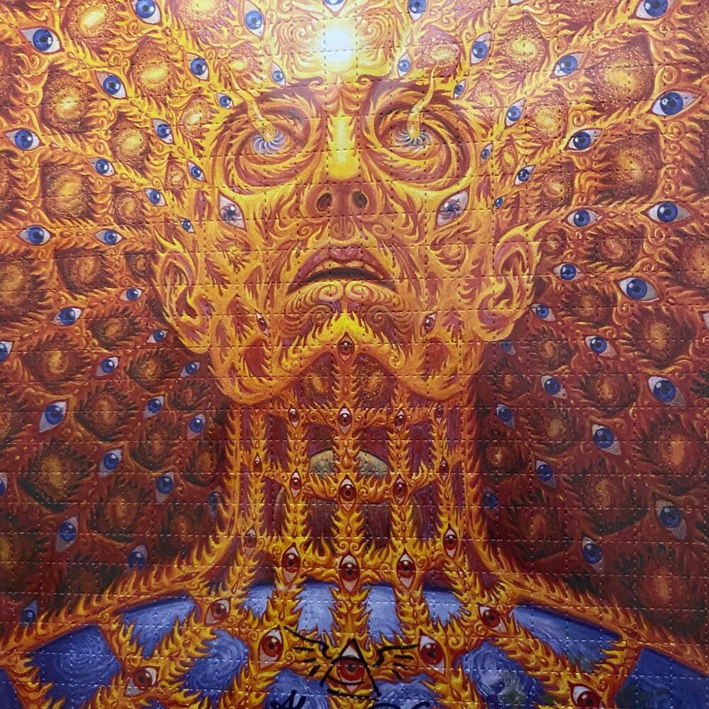 ALEX GREY OVERSOUL PRINT #160/200 SIGNED (taking offers) - Picture 3 of 13